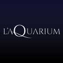 L'Aquarium Discothèque