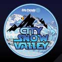 City SNOW Valley Party Concept
