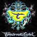 Tomorrowland Festival